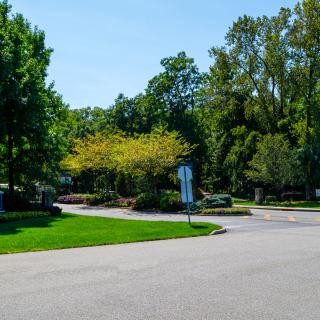 A quiet suburban street lined with lush green trees and well-maintained lawns.