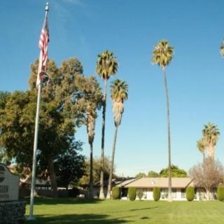 A scenic view of tall palm trees and a flagpole on a grassy lawn with a building in the background under a clear blue sky.