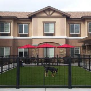 A two-story house with a fenced yard and a dog standing on the lawn, featuring patio seating under red umbrellas.