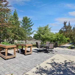 A spacious outdoor patio with furniture, surrounded by greenery and trees on a sunny day.