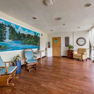 A spacious waiting area featuring a nature-themed mural, comfortable seating, and a warm, inviting atmosphere.