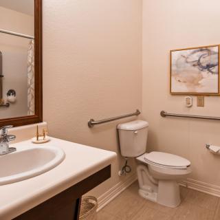 A clean and accessible bathroom with handrails, featuring a sink, toilet, and wall art.