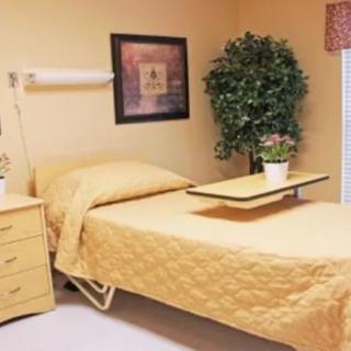 A hospital room with a single bed, bedside table, and indoor plant.