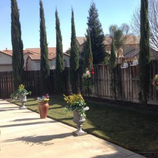 A well-maintained backyard with tall trees and decorative potted plants.