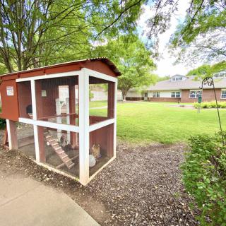 A small red chicken coop situated in an outdoor grassy area with trees and a building in the background.