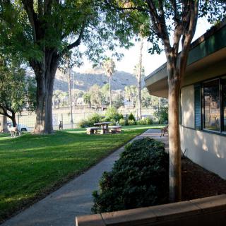 A peaceful park setting with trees, a building, and a sidewalk leading through the grassy area.