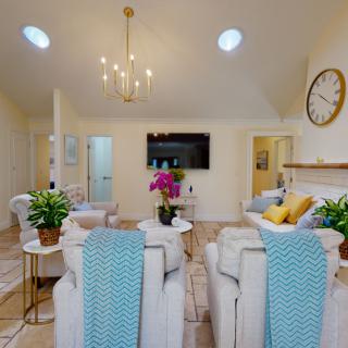 A modern living room with elegant decor, featuring comfortable seating, a TV, and vibrant plants.