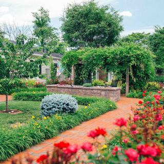 A lush garden with vibrant flowers and a winding pathway leading to a vine-covered pergola.