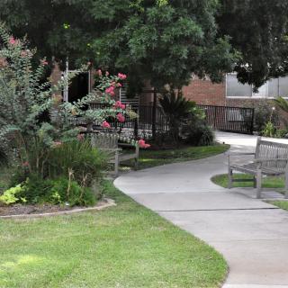 A serene outdoor pathway lined with benches and surrounded by lush greenery.