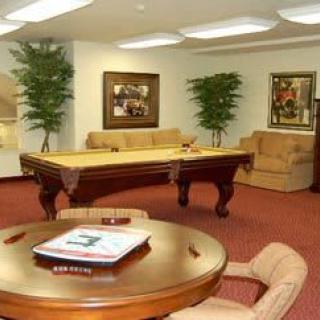 A cozy game room featuring a pool table, comfortable seating, and decorative indoor plants.