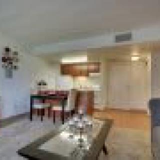 A cozy apartment interior featuring a combined living and dining area with an open kitchen.