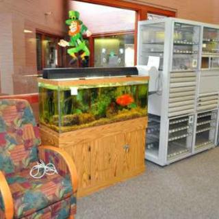 A cozy waiting area featuring a fish tank with vibrant aquatic life and a decorative statue.