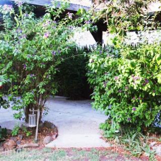 A serene garden pathway surrounded by lush greenery.