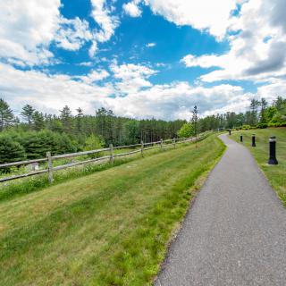 A scenic view of a pathway surrounded by lush greenery and a bright blue sky with clouds.