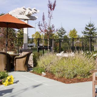 A sunny outdoor patio with seating, an umbrella, and well-maintained garden landscaping.