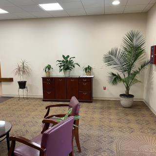 A waiting room with chairs, plants, and a wooden cabinet.