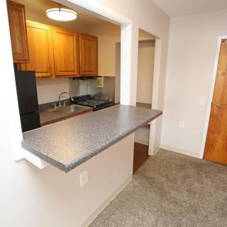An open kitchen space with a countertop and wooden cabinets in an apartment.
