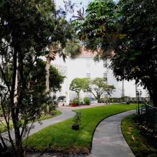 A serene garden pathway surrounded by lush greenery and trees.