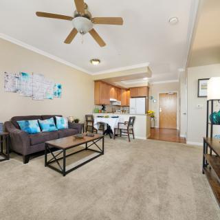 A cozy apartment living room with a sofa, coffee table, and an open kitchen with a dining area.