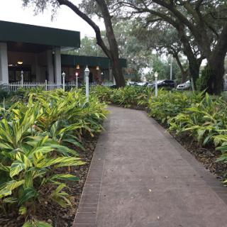 A serene outdoor pathway lined with lush greenery leading to a building.