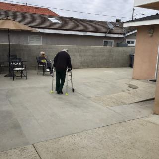 Two elderly individuals enjoying a peaceful day in the backyard, one using a walker.
