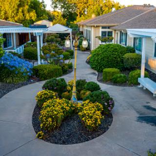 A serene garden pathway surrounded by vibrant flowers and neatly trimmed bushes.