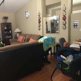 A cozy living room with sofas, a table, and decorative elements.