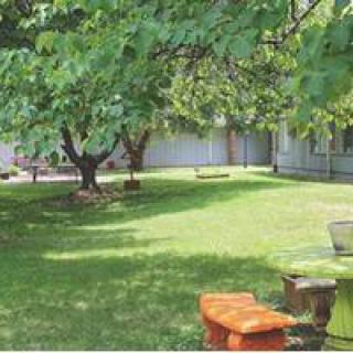 A tranquil garden with lush green grass, shaded by large trees and featuring several benches.