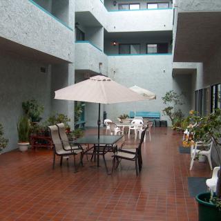 A spacious patio with tables and chairs, adorned with umbrellas and surrounded by potted plants.