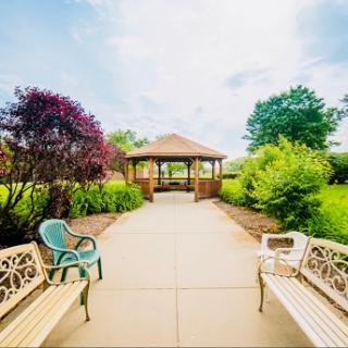 A serene pathway leading to a charming gazebo surrounded by lush greenery and vibrant plants.