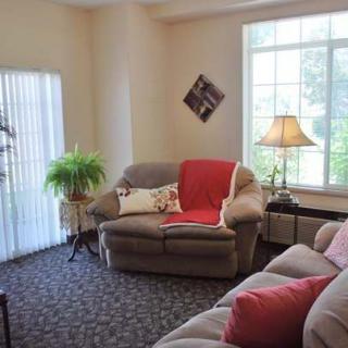 A cozy living room with a sofa, lamp, and greenery by the window.