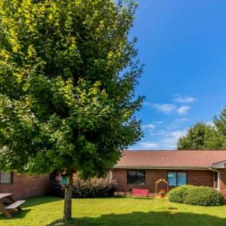 A brick house with a green lawn and a large tree in the front yard under a clear blue sky.