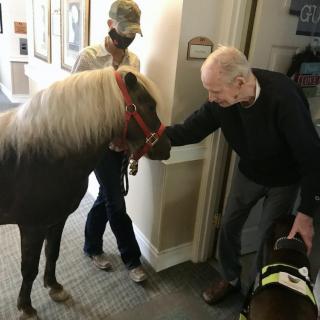 An elderly man interacting with a miniature horse inside a care facility, accompanied by a person and another animal.