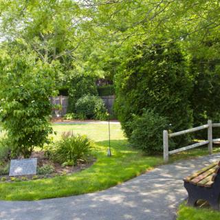 A peaceful garden with a pathway, bench, and lush greenery under the sunlight.