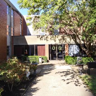 A serene pathway leading to a modern building surrounded by greenery.