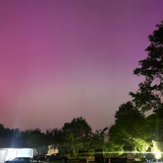 A serene night sky illuminated with beautiful purple tones, complemented by the silhouettes of trees and soft ground lighting.