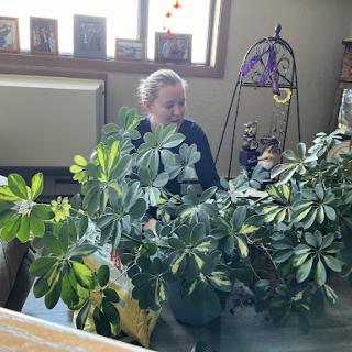 A person surrounded by lush indoor plants in a cozy home setting.