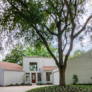 Modern residential house with a large tree in the front yard.