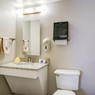 A clean, well-lit bathroom with a sink, mirror, toilet, and various amenities.
