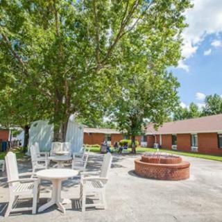 Outdoor seating area with chairs and tables under a tree next to a fire pit on a sunny day.