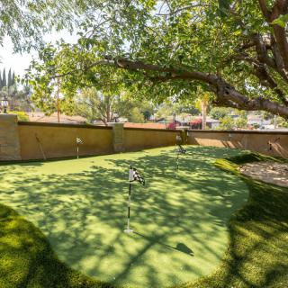 A sunny backyard featuring an artificial putting green beneath a large tree.
