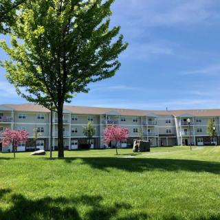 A sunny day in a residential area with an apartment building, surrounded by green grass and blossoming trees.