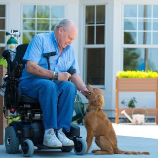 An elderly man interacts with a dog while sitting in a motorized wheelchair outside.