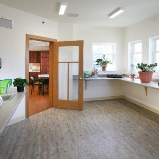 A bright room featuring plants and large windows with a wooden floor and an open door.