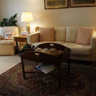 A cozy living room with a sofa, armchair, lamp, and coffee table on a patterned rug.