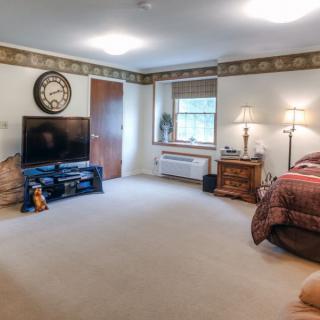 A spacious bedroom with a television and classic decor.
