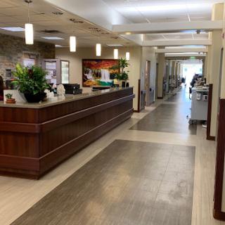 A welcoming reception area with modern design elements and greenery.