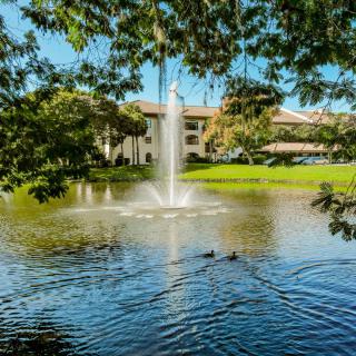 A tranquil outdoor scene featuring a pond with a fountain, surrounded by lush greenery and a building in the background.