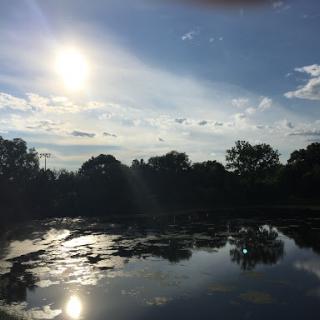 A serene view of the sun shining over a calm lake, reflecting the beauty of nature.