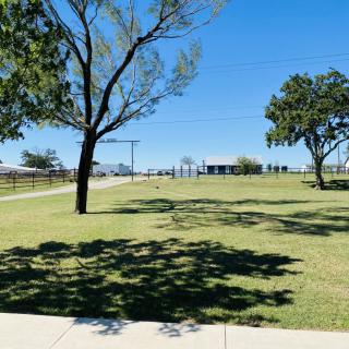 A sunny day in a park featuring lush green grass and scattered trees under a clear blue sky.